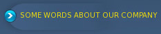 some words about our company